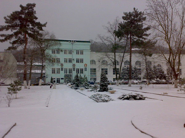 Дмитрий Костриченко