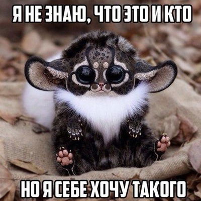 Вадим Панков