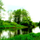 Александр Авраменко