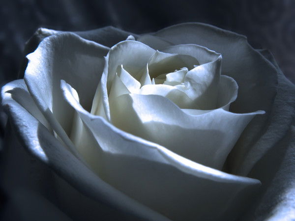 Алия Хайруллина