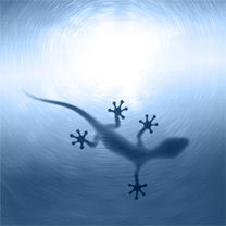 Виктор Гретченко