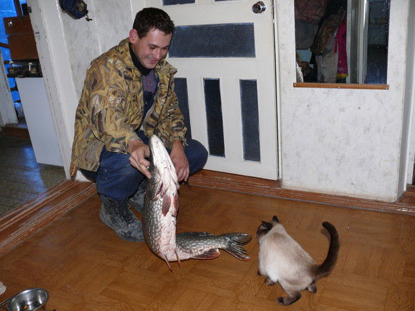 Павел Евстафьев