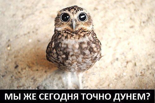 Елена Битус