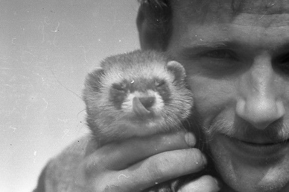 Валерий Рыженков