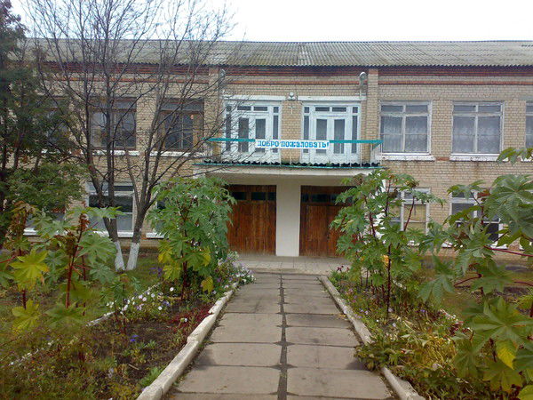 Елена Николаевна Звягинцева