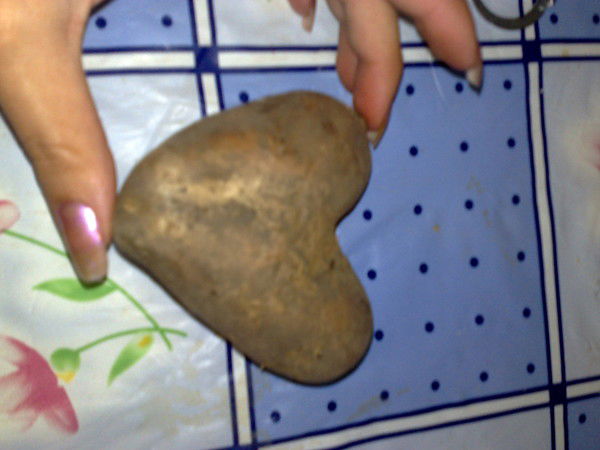 Айгерим Алмаз Батырхаировы