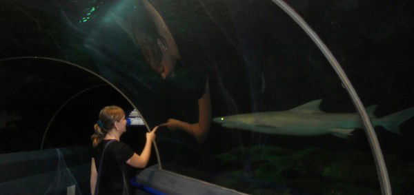 Алефтина Арсланова