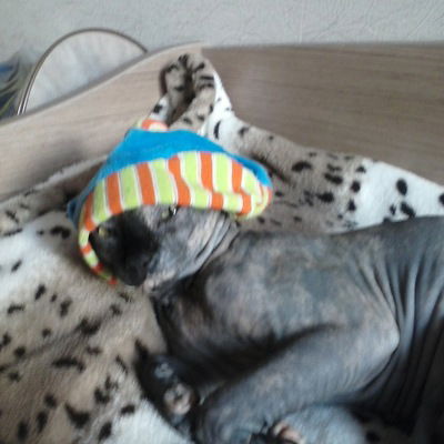 Мария Семенова