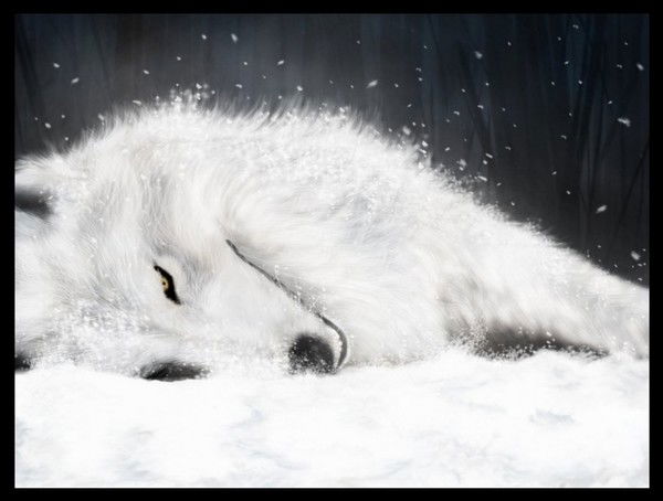 Ира Михалько