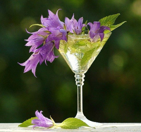 Алия Киябаева