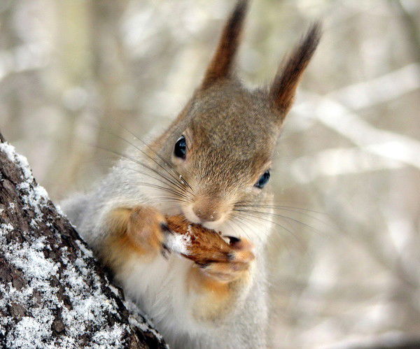 Оля Поддубская