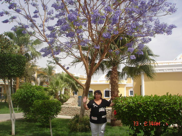 Наташа Котлярова