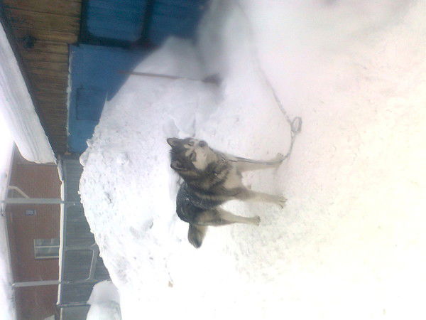 Татьяна ****@@@@****