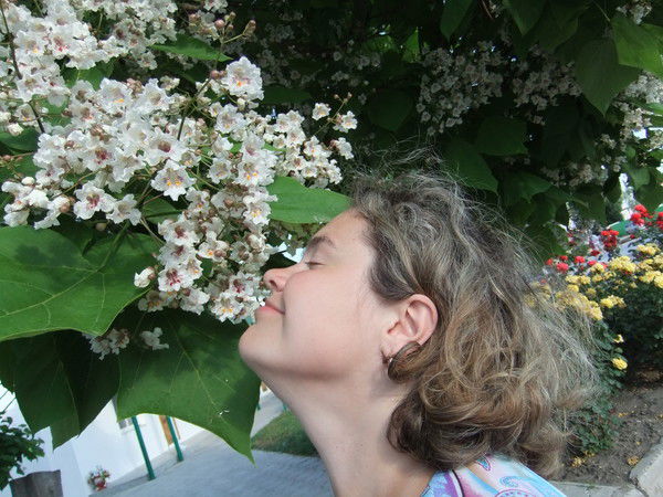 Елена Телкова