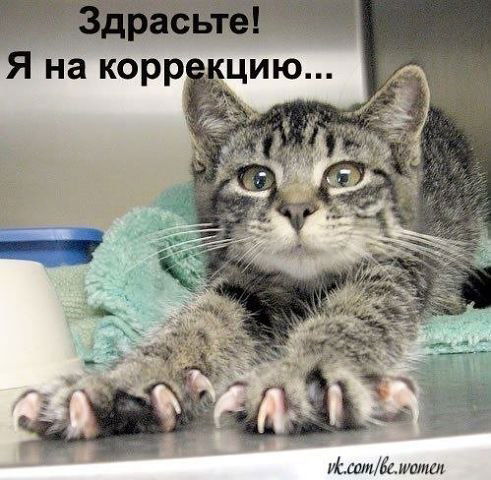 Лилия Сивкова