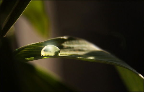 Виктория Джумагазиева