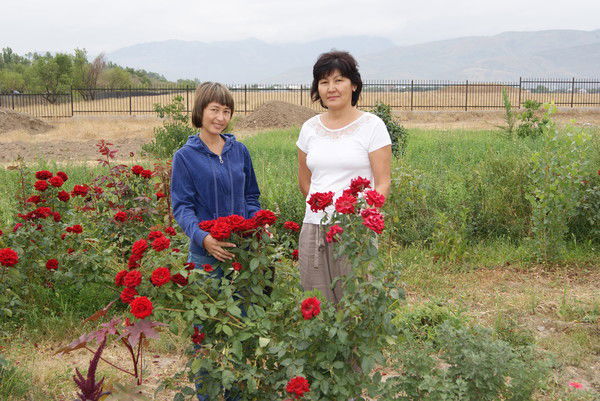 Алия Жанибекова
