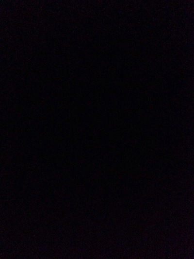 Александр Скрицкий