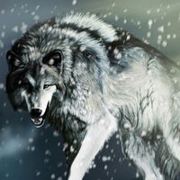 Иван Кудрявцев