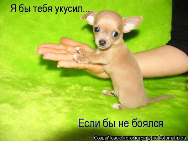 Меруерт Серкебаева