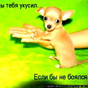 Меруерт Серкебаева