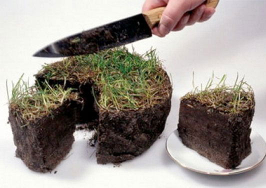 Антон Федосов