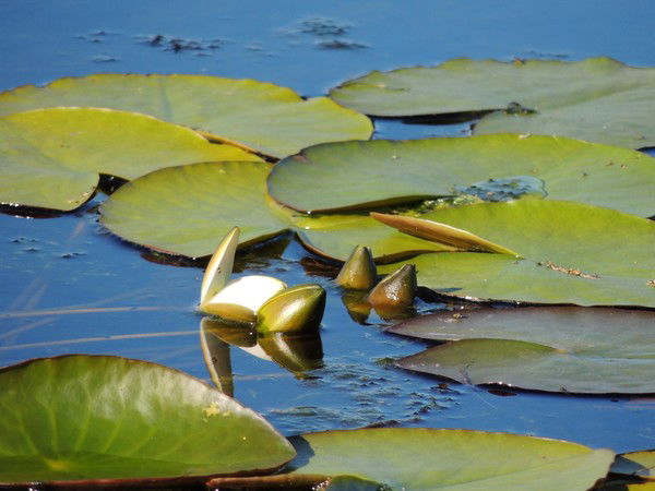 Владислав Владислав