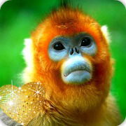 Зульфия Богданова