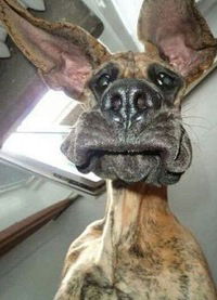 Юрий Точенов