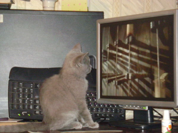 Алексей Смирнов