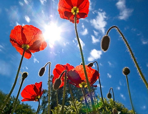 Айман Нурмухамбетова