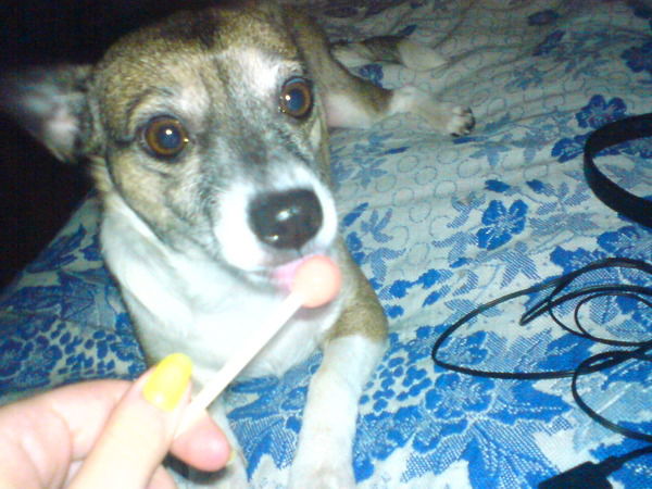 Вера Шарова