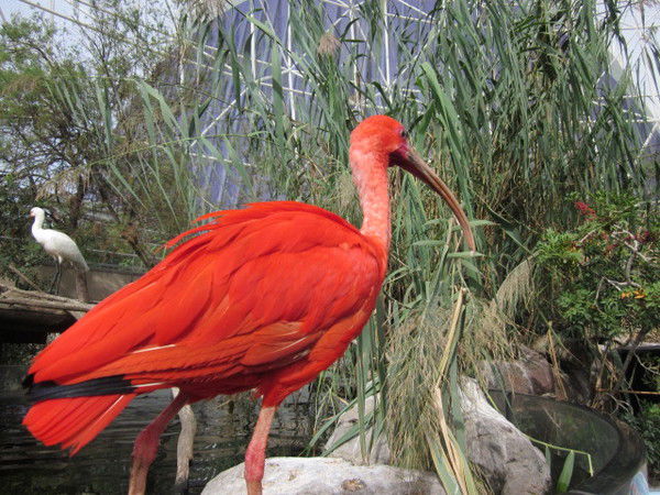 Светлана Кретова