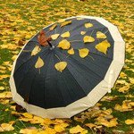 Аза Козакова