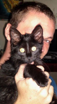 Дмитрий Соболев