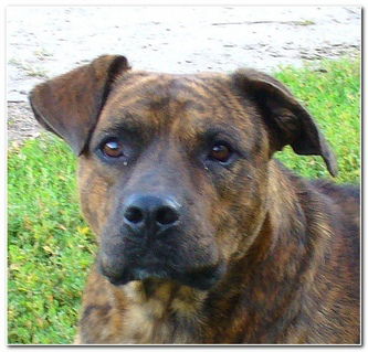 Александр Хазов