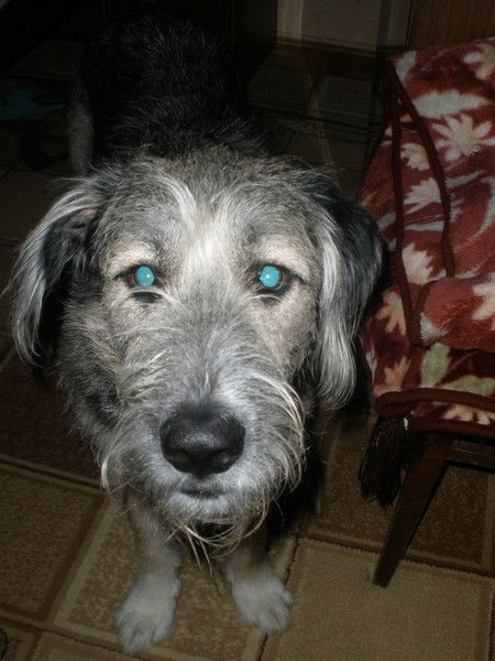 Ира Суворова