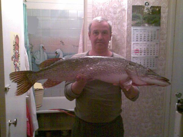 Андрей Залескин