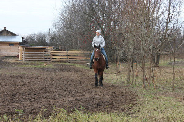 Анастасия Глушенкова