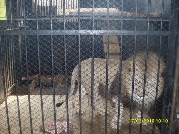 Виталий. Егоров