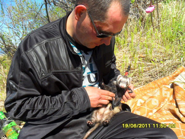 Стас Сорокин