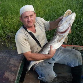 Роман Платов