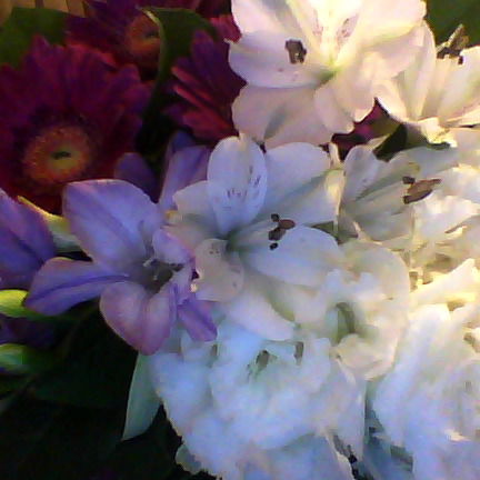 Зинаида Владимировна