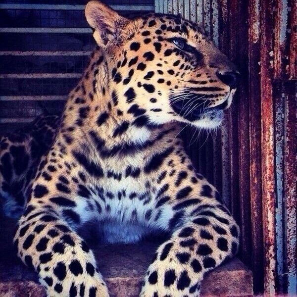 Наталья Кузнецова