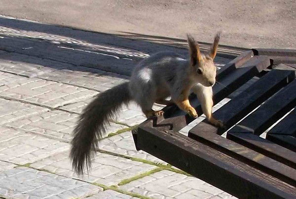 Сергей Рябов