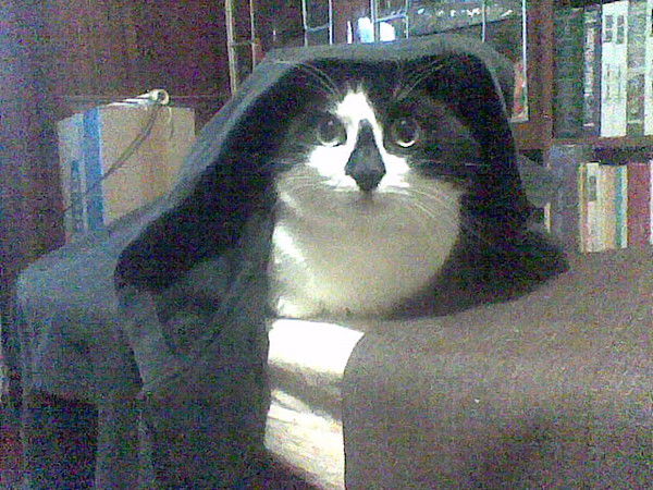 Ирина Адамова