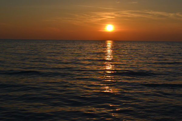 Светлана Коренко