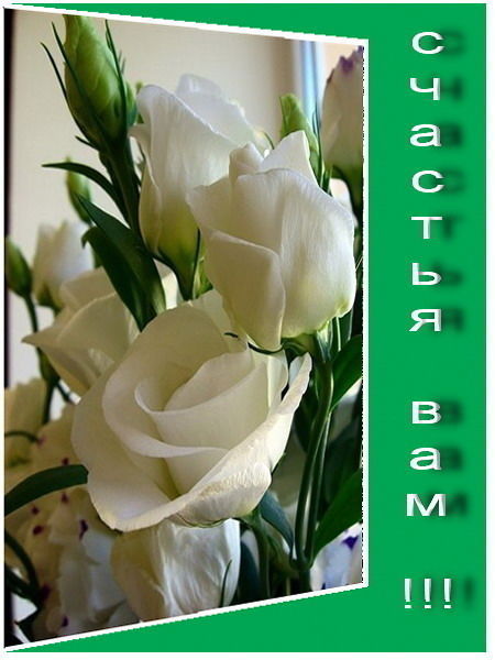 Венера Пугачева