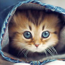 Ольга Завьялова