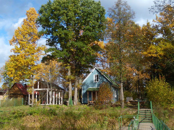 Владислав Клёнов